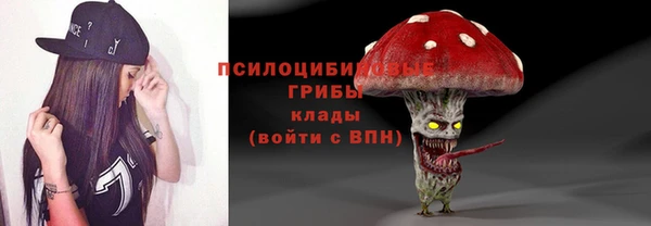 ГАЛЛЮЦИНОГЕННЫЕ ГРИБЫ Алексеевка